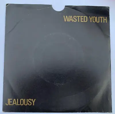 Wasted Youth Jealousy Clear 7  Vinyl In Picture Sleeve 1980 • £10