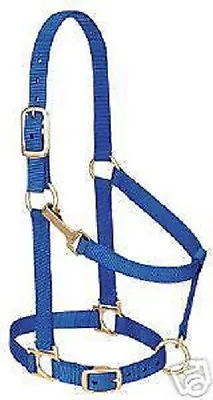 Weaver Miniature Horse Adjustable Chin Halter Blue Tack • $26.79