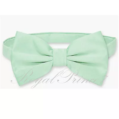 Classic New Laurel Mint Green Men's Pre-tied Bowtie Bow Tie Wedding Party Prom • $10.40