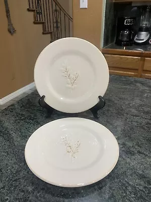 Salad Plates Embossed Acorns Leaves Blackhawk Marketing Victoria Plate • $8.99