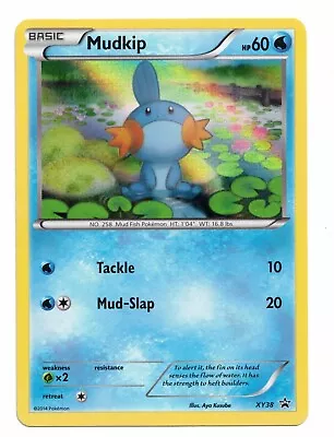 Pokemon Card: Mudkip XY38 Black Star Promo Holo Rare! NM • $2.08