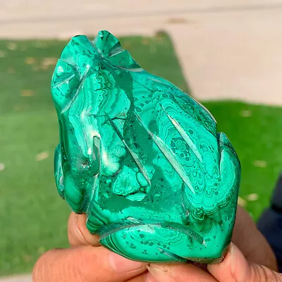 236G Rare Natural Malachite Quartz Hand Carved Crystal Frog Healing • $0.99