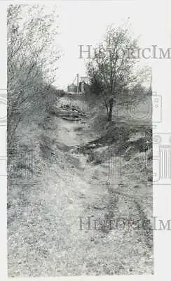 $15.88 • Buy 1977 Press Photo A Grassy Trench Marking An Abandoned Right-of-way In Dunlap, KS