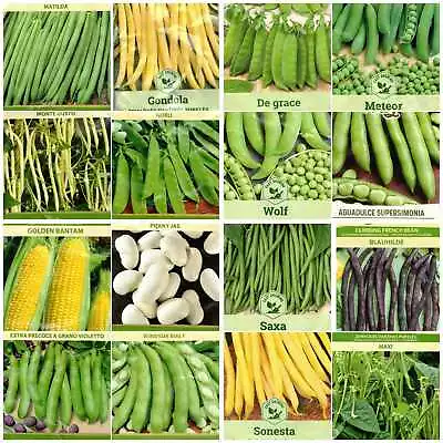 Pea  Bean & Sweetcorn Seeds. Multi Buy Offers Available • £1.55