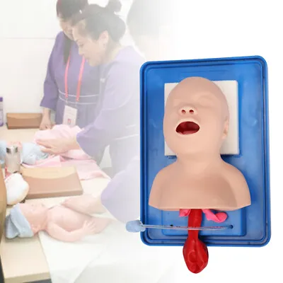 $84.55 • Buy Intubation Manikin Airway Management Trainer Baby Model Training Teaching Tool