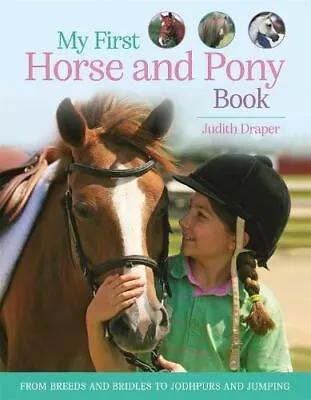 My First Horse And Pony Book By Kingfisher (individual) • £8.70