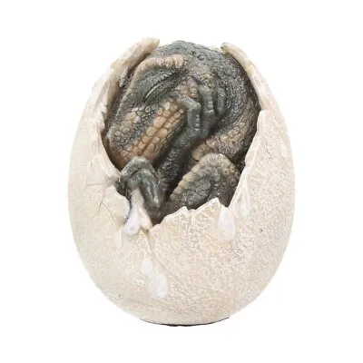 £12.99 • Buy Wyrmlings First Light Dinosaur Emerging From Egg H12cms Resin Nemesis Now
