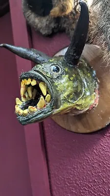 Vampire Demon Bass Taxidermy Fish Mount! • $250