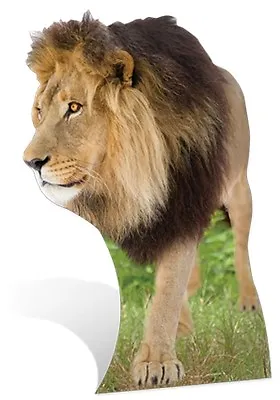 Lion Lifesize Cardboard Cutout Fun Figure 130cm Tall - Great For Parties • £34.99