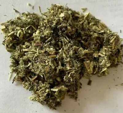 Mugwort Dried Cut / 2oz To 1LB / Artemisia Vulgaris • $5.95