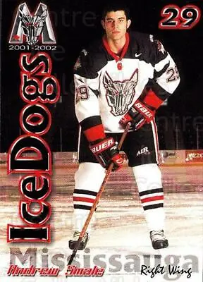 2001-02 Mississauga Ice Dogs #19 Andrew Smale • $2.19