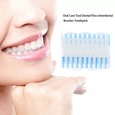 $3.05 • Buy 40Pcs Dual Toothpick Oral Interdental Cleaner Teeth Floss Dental Gum Brush ;;b