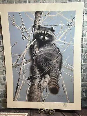 Bandit Racoon Charles Frace 1984 Very Rare Art Print Limited Edition Wildlife  • $100