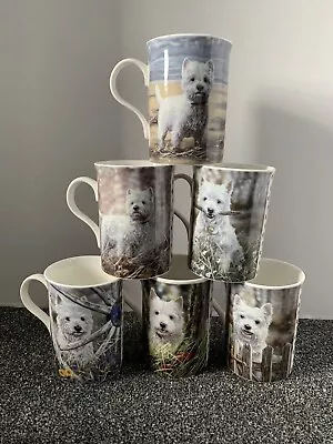 Full Collectors Set Of 6 Danbury Mint Westies By Paul Doyle Fine Bone China • £55