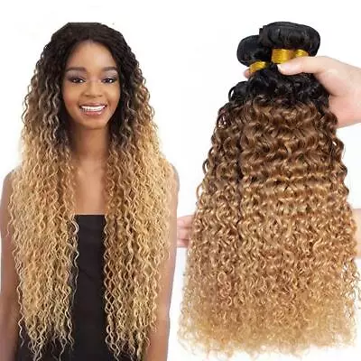 12A Ombre Human Hair Bundles Jerry Curly Wave Virgin Hair Extensions Weft Weavy • $26.41