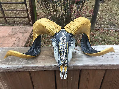 $445 • Buy Taxidermy Awesome Painted RAM SHEEP Full SKULL Big Horns Cabin Mardi Gras Decor 