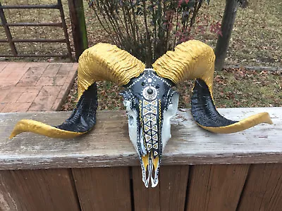 $445 • Buy Taxidermy Awesome Painted RAM SHEEP Full SKULL Big Horns Cabin Mardi Gras Decor 