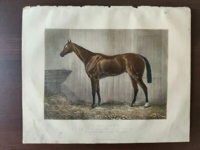  antique Original Hand Colour Lithograph-racing Horses-blue Gown- 1880ca • £45