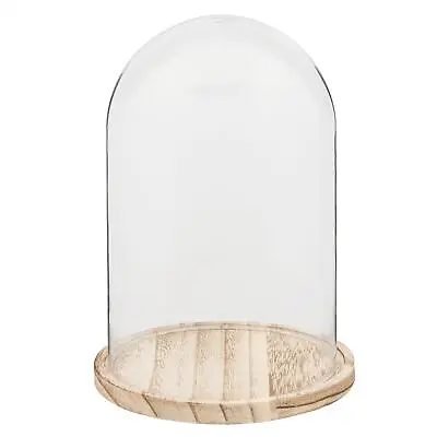 £22.35 • Buy Glass Display Cloche Bell Jar Dome Cover Flower Preservation Wooden Base 25cm