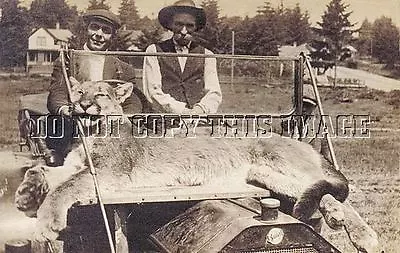 ANTIQUE 8x10 PHOTOGRAPH REPRINT HUNTER'S WITH HUGE MOUNTAIN LION COUGAR ON CAR • $11.99