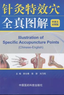 Illustration Of Specific Acupuncture Points • $35.73