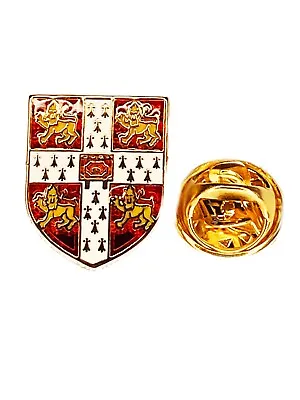University College Of Cambridge Lapel Pin Badge • £3.49