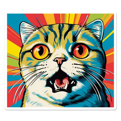 Scottish Fold Cat Vinyl Decal Sticker - Ebn11864 • $3.45