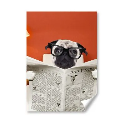 £4.99 • Buy A4 - Pug Puppy Dog Reading Paper Poster 21X29.7cm280gsm #15775