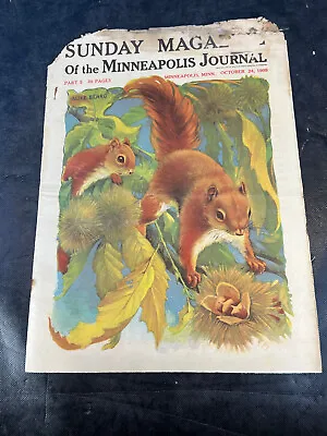 1909 Oct 24 Sunday Magazine Of The Minneapolis Journal Squirrel Rubberset Ad • $19.95