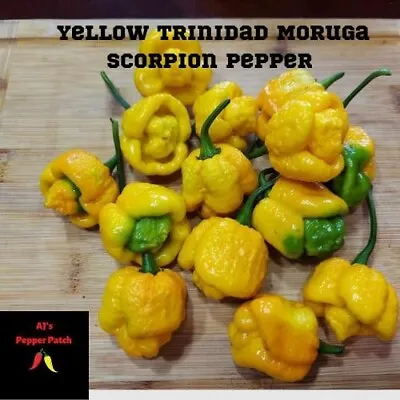 15 Yellow Trinidad Moruga Scorpion Pepper Seeds • $3.25