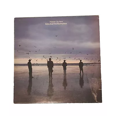 Echo And The Bunnymen • $45