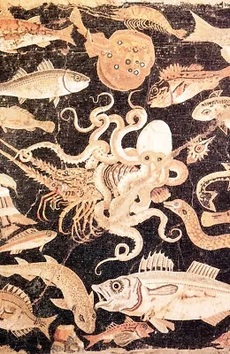 Octopus Vs Lobster Poster Bath House Mosaic House Of Pompeii • $19.95