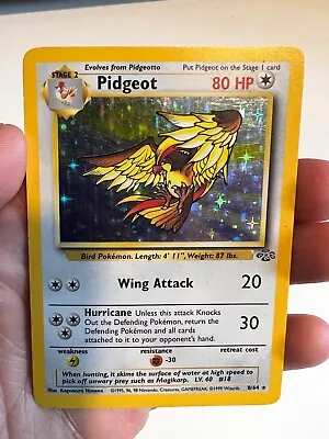 $4.25 • Buy 1999 Jungle Set Pidgeot Holo 8/64 Rare WOTC Pokémon Card NM LP +