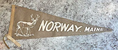 RARE Vintage Norway Maine Souvenir Pennant • $14.99