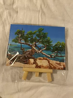 Buttonwood Tree Canvas Picture Print Painting On Easel Or Hanging • $43.52