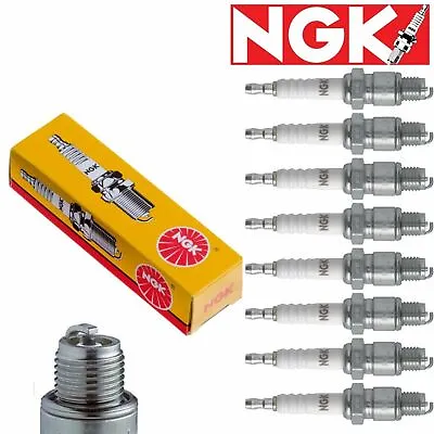 8 Pack NGK Standard Spark Plugs 7131 BPR6ES 7131 BPR6ES Tune Up Kit Oq • $26.99