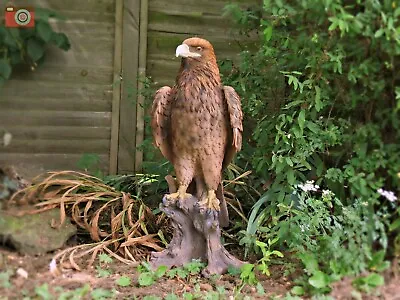 £174.99 • Buy GOLDEN EAGLE, LARGE & VERY REALISTIC, Incredible Vivid Arts Real Life, Size A