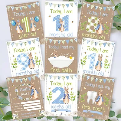 Peter Rabbit Baby Milestone Cards • Baby Shower Gift • New Baby Gift • Keepsakes • £5.99