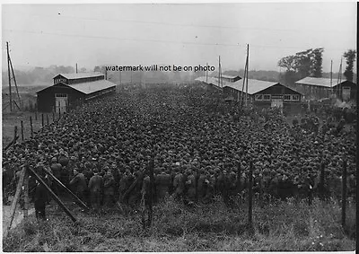 10000 German POWs In France 8 X 10  World War II WW2 Photo Picture 42 • $7.43