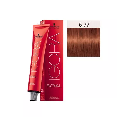 SCHWARZKOPF PROFESSIONAL IGORA ROYAL 6-77 DARK BLONDE COPPER EXTRA 60g • $22.95