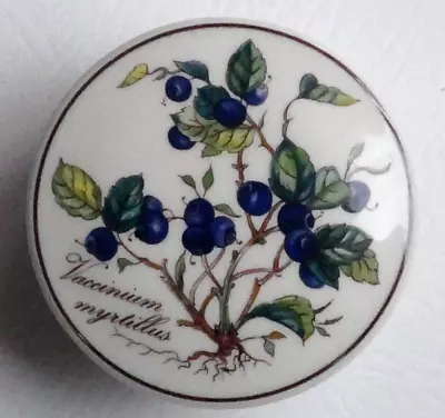 BOTANICA Villeroy & Boch Porcelain VACCINIUM MYRTILLUS Trinket Box BLUEBERRY • $9.90