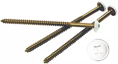 Genuine Mid America 3  Painted Screws For Vinyl Shutters • $20.75