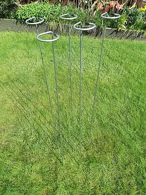 £19.99 • Buy Galvanised Plant Loop Stakes/ Supports 80, 100, 130cm Tall.  Non Rusting
