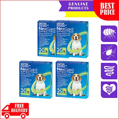 NEXGARD SPECTRA Flea Heartworm Treatment 3612 Chews For 7.6 To 15 Kg Dog GREEN • $75.96