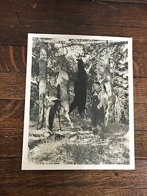 Antique Vintage Hunting  8 X 10 Photograph Fred Bear With Grizzly Bear • $29.99