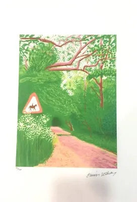 David Hockney - Signed And Numbered Lithograph (Edition Of 200) - Original • £147.48