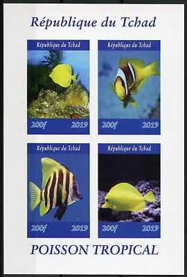 Chad 2019 MNH Tropical Fish Tang 4v IMPF M/S I Poisson Fishes Marine Stamps • £11.50