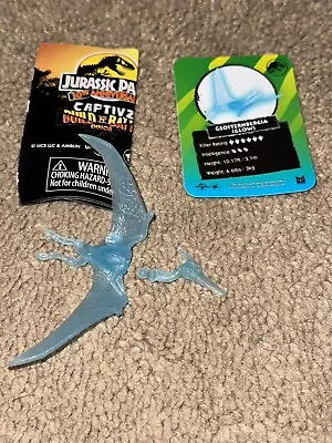 Jurassic Park 30th Anniversary Gliding Geosternbergia GLOW Captivz • $10