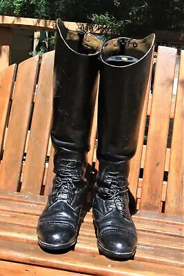 Mountain Horse Field Boots (Womens)  8 -8 1/2 Regular Width • $140