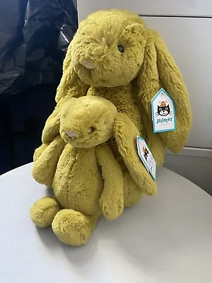 Jellycat Bashful Zingy Bunny Medium And Small  • £60